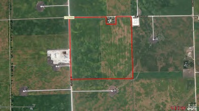 Iroquois County 157 Acre  Farm
